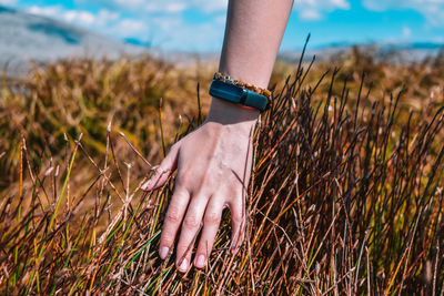 Hand of woman on grass at beach