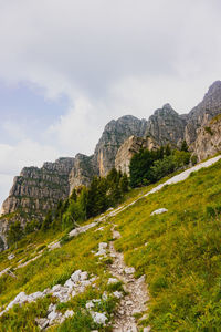 Trail in the italian alps