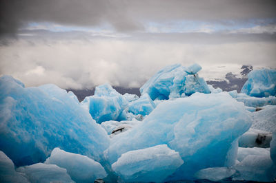 Scenic view of snow covered landscape