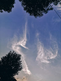 Low angle view of tree against sky