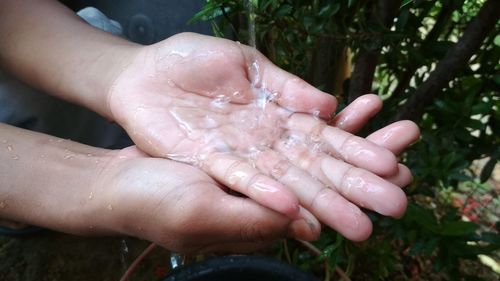 Close-up of hand holding wet leaf