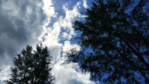 Low angle view of trees against cloudy sky