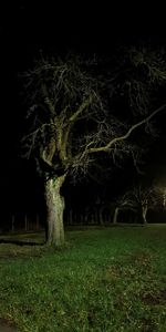 Scenic view of field at night