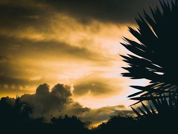 Low angle view of silhouette palm trees against sky during sunset