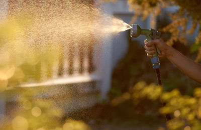 Person holding leaf in water