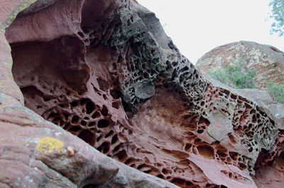 Detail shot of rock