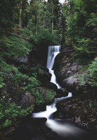 View of waterfall in forest