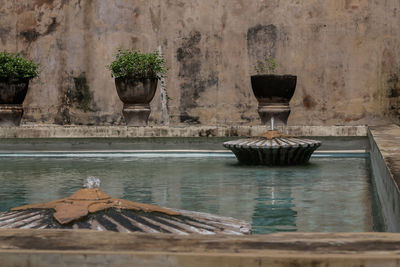 The taman sari swimming pool was once the sultan's spotting place