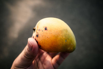 Close-up of hand holding apple