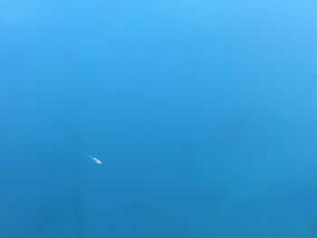 Low angle view of parachute against clear blue sky