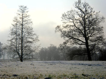 Scenic view of snowy field against clear sky