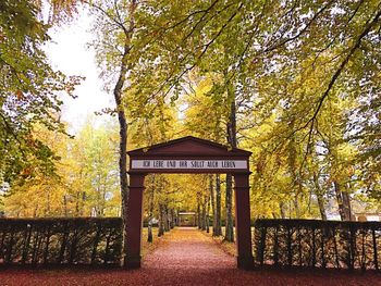 Road amidst trees in park during autumn