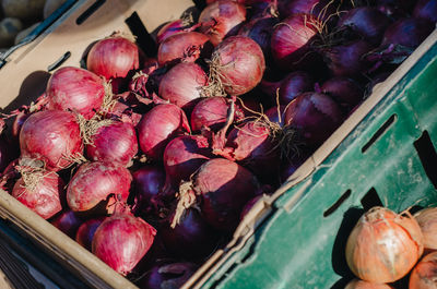 Close-up of vegetables for sale in market