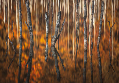 Cuejdel natural lake in the autumn season.