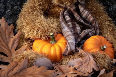 Close up of pumpkins