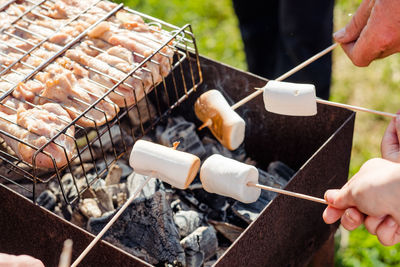 Hands hold marshmallows on a wooden skewer over the grill. fried marshmallows and grilled meat