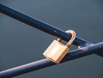 Close-up of padlocks on railing