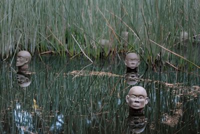 View of sculpture in lake