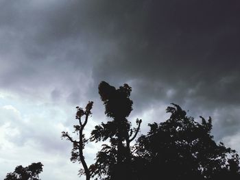 Low angle view of silhouette tree against sky