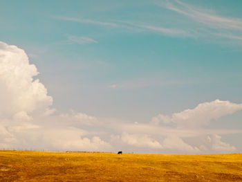 Scenic view of field against cloudy sky