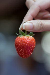 Close-up of hand holding strawberry