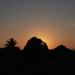 Silhouette trees against clear sky at sunset