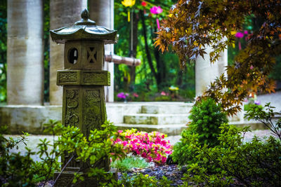 View of flowering plants in garden