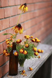 Close-up of yellow flower on plant