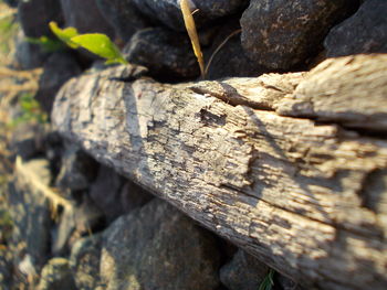 Full frame shot of stone wall