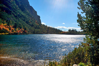 Scenic view of lake in forest against sky