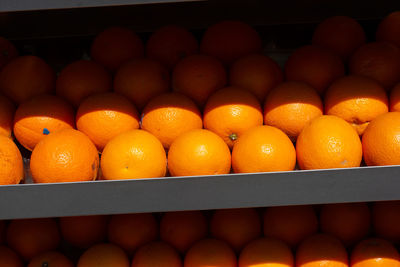 Close-up of oranges