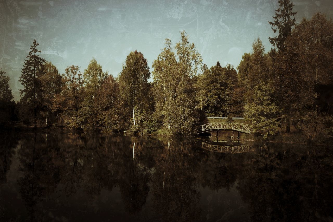 tree, water, tranquility, reflection, sky, tranquil scene, lake, nature, beauty in nature, scenics, waterfront, cloud - sky, river, growth, built structure, outdoors, day, idyllic, non-urban scene, branch