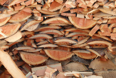 Pieces of wood in a woodcock in winter