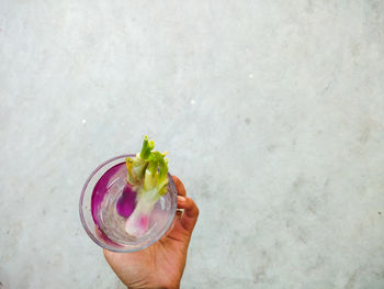 Cropped hand carrying scallions in container over floor