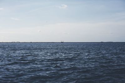 Bird flying over sea against sky
