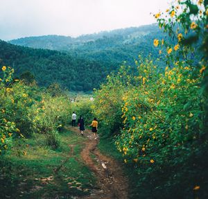 People walking in farm against sky