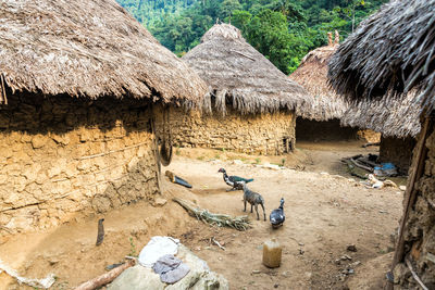 Houses in village