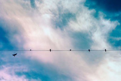 Low angle view of birds perching on cable