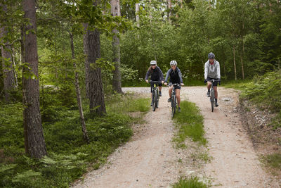 View of people cycling through forest