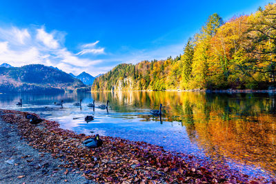 Scenic view of lake against sky during autumn