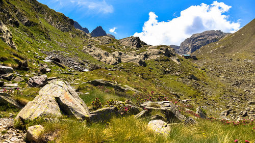 Scenic view of landscape against sky