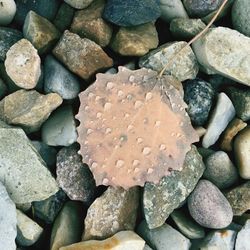 High angle view of stones