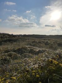 Scenic view of land against sky