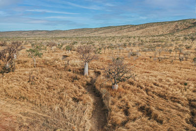 Scenic view of landscape against sky