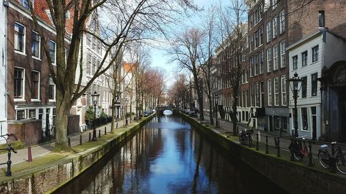 Canal amidst trees in city against sky