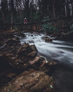 Mid adult woman sitting on log over river in forest