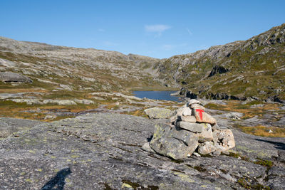 Mountainview in norway, hardangervidda. trees, rocks and small lakes covered in autumn colours.