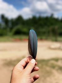 Close-up of hand holding umbrella on field