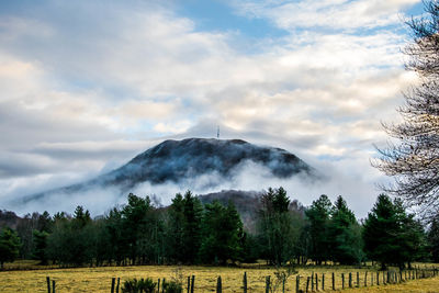 Mountain and trees against cloudy sky during foggy weather