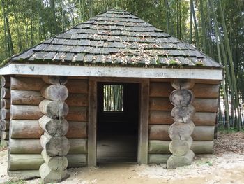 Stone wall of house and trees in forest